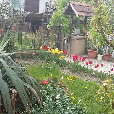 Alom Kucko Apartman Залаэгерсег Экстерьер фото